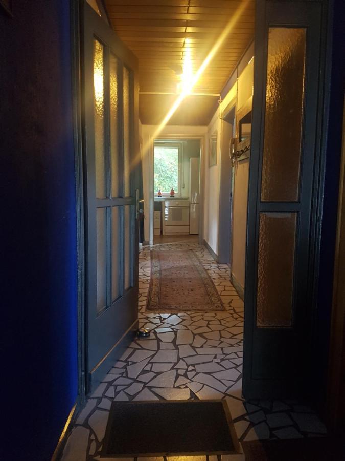 Ferienwohnung Kunterbunt Winterberg Exteriör bild